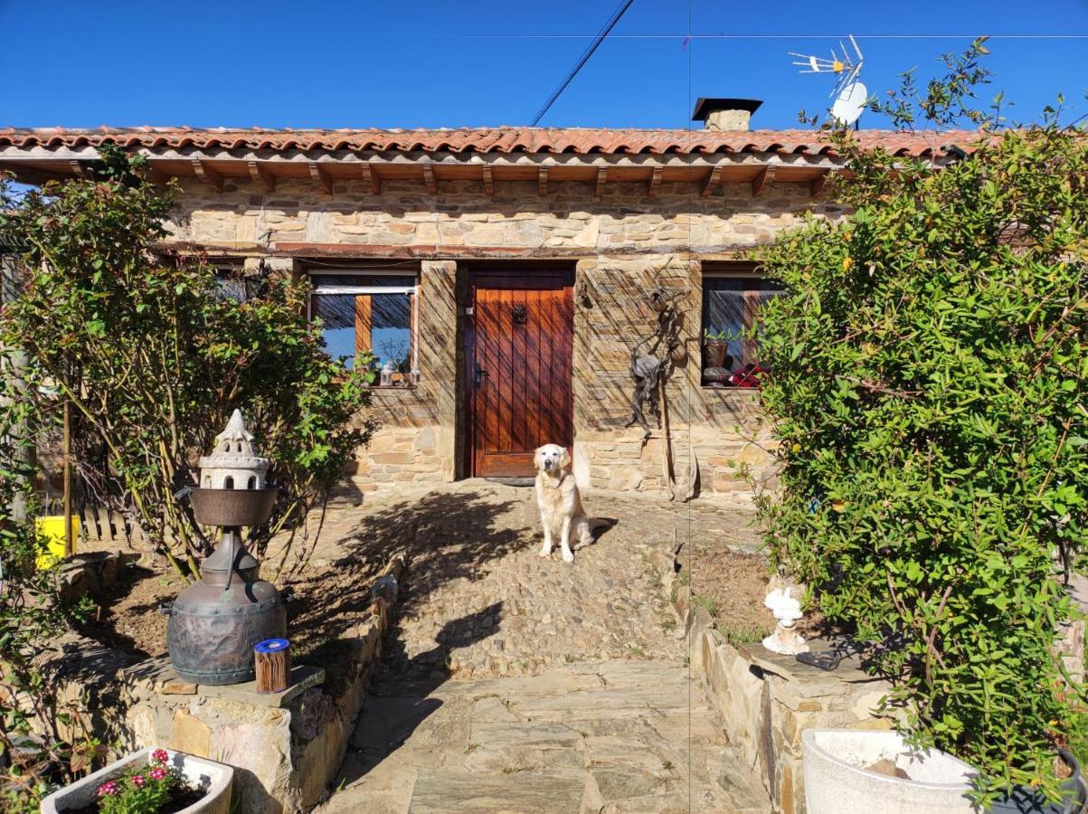 Hostel La Casa Del Camino